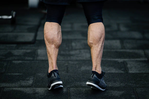 trained legs with muscular calves in sneakers in training gym