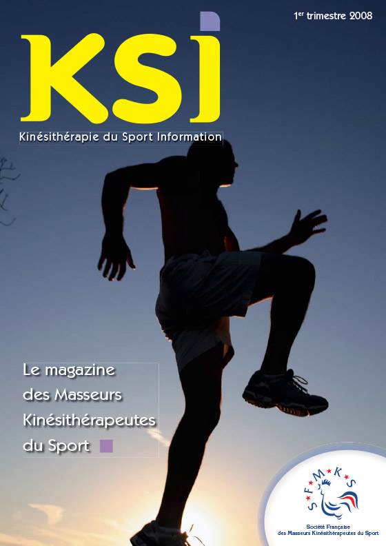 KSI-1er-trimestre-2008-1
