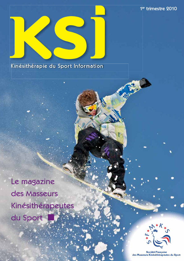 KSI-1er-trimestre-2010-1