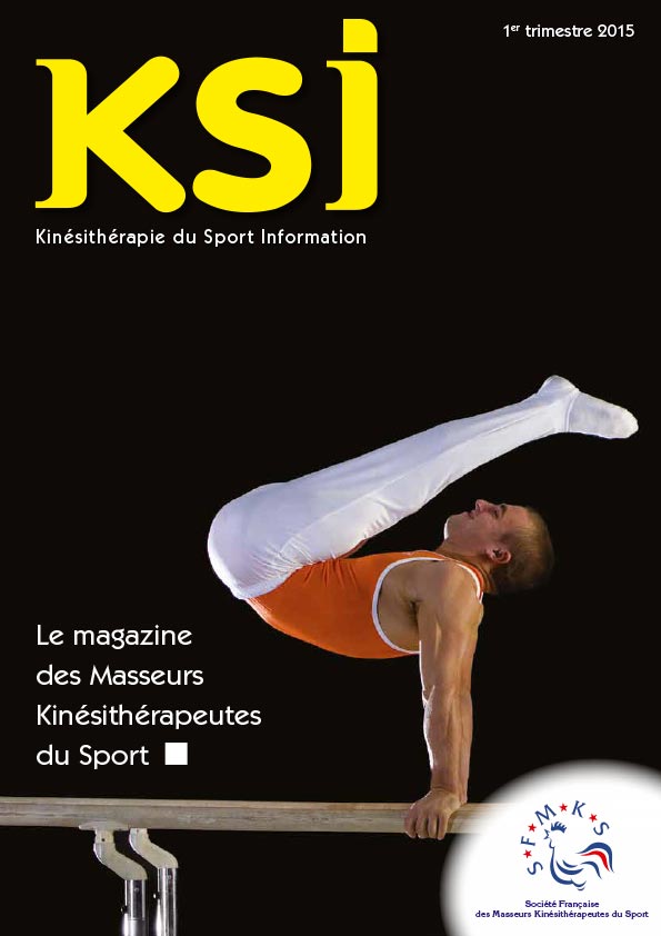 KSI-1er-trimestre-2015-1