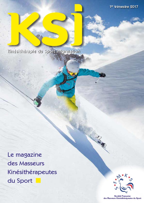 KSI-1er-trimestre-2017-1